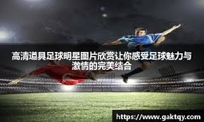 古蒂：哈维-阿隆索是安切洛蒂的接替者，皇马会