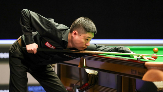 达森林狼因 达森林狼因